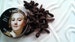 Vegan 1772 Burnt Cloves To Darken Eyebrows Historical Recipe Organic Eyebrow Pencil Perfect Colored Brows Vintage Brow Color 