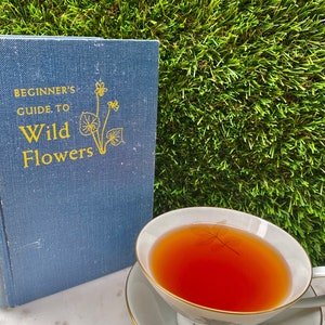 Organic Green Rooibos Tea: Caffeine-Free Herbal Tea