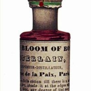 Liquid Bloom of Roses 1780 1958 Vintage Lip Stain Vintage Cheek Stain Historical Makeup Old Fashioned Rouge image 9