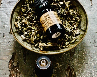 Winter  Pure Eucalyptus Essential Oil 10ml: Herbal Camphorous Scent