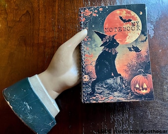 May include: A black cat wearing a witch's hat sits on a tree stump in front of a large orange moon. The moon has the words "My Notebook" written on it. The background is a dark forest with fall leaves and a jack-o-lantern.