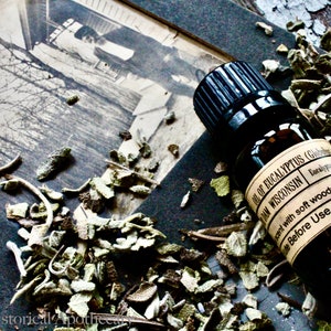 May include: A small brown glass bottle with a black cap and a label that reads "Oil of Eucalyptus (Globulus) Balm Wisconsin Eucalyptus" and "Scent with soft woody undertones Before Use". The bottle is sitting on a surface covered in dried herbs.