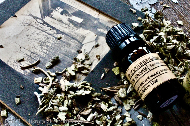 May include: A small brown glass bottle with a black cap and a label that reads "Oil of Eucalyptus (Globulus) Balm Wisconsin Eucalyptus" and "Scent with soft woody undertones Before Use". The bottle is sitting on a surface covered in dried herbs.