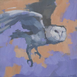 Pintura original de coruja-das-torres, pequena moldura acrílica sobre tela