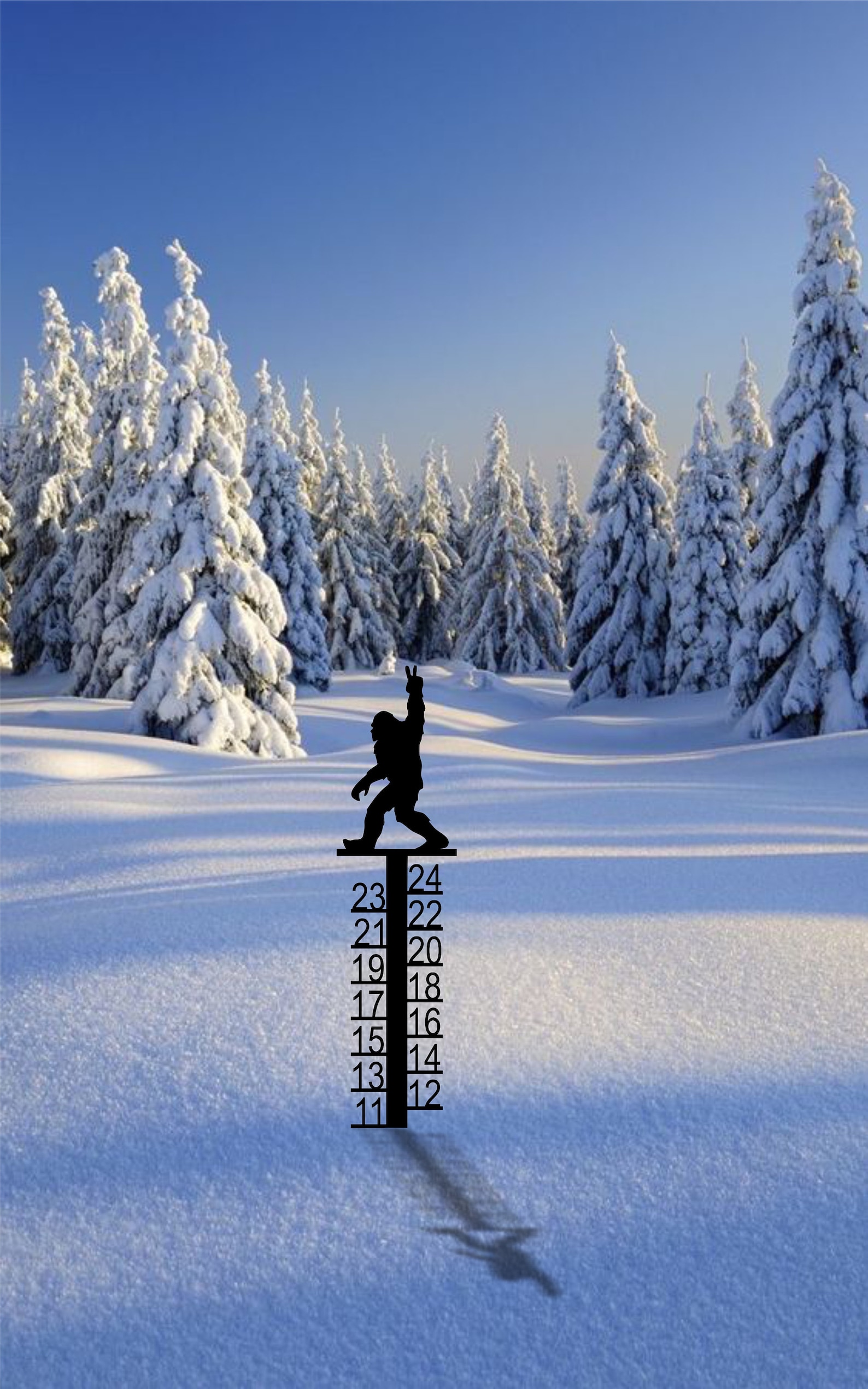 Bigfoot Metal Snow Ruler, Snow Depth Gauges 24 Inch, Snowstick, Measure ...