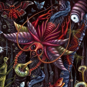 Original Fine Art Print, Signed Giclee by R.S. Connett ~ INSECTUS