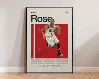 derrick rose signed basketball