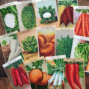 Vintage French Vegetable Labels - Random Set of 10 - Vintage Labels, NOS Labels, Junk Journal, Paper Ephemera, Altered Art, Craft Supplies