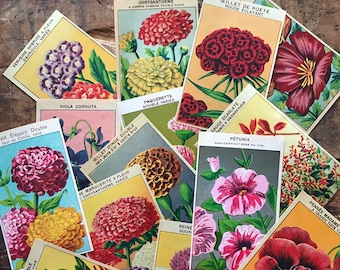 Vintage French Flower Labels - Random Set of 10 - Vintage Labels, NOS Labels, Junk Journal, Paper Ephemera, Altered Art, Craft Supplies