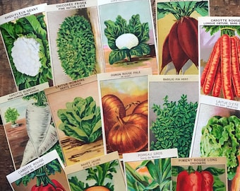 Étiquettes vintage françaises pour légumes - lot de 10 - étiquettes vintage, étiquettes NOS, journal indésirable, papier éphémère, oeuvre d'art modifiée, fournitures créatives