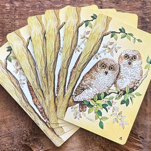 Vintage Owl Playing Cards - Set of 6 - Vintage Children Playing Cards, Paper Ephemera, Junk Journal, Craf Supplies, Scrapbooking, Nature