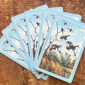 Juego de 6 naipes de patos antiguos: Mallard Nature, papel para álbumes de recortes, efímeras, diario basura, suministros para manualidades antiguas, técnica mixta, collage