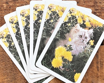 Vintage White Kitten and Yellow Flowers Playing Cards - Set of 6