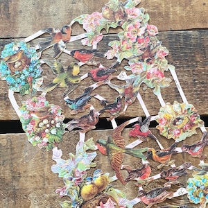 Die Cut Scraps - Vögel - Ausschnitte, Reproduktion, Vintage-Stil inspiriert, Papier Ephemera, Junk Journal, Bastelbedarf, Natur, Blumen Floral