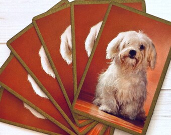 Vintage White Puppy Dog Playing Cards - Set of 6