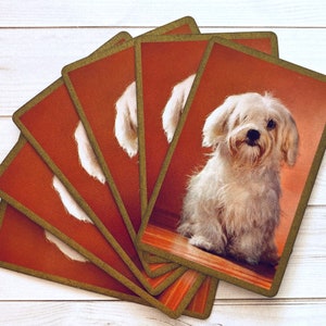Dog Playing Cards - Set of 6 - Vintage Cards, Vintage Children Cards, Scrapbooking Ephemera, Junk Journal, Crafting, Vintage Supplies, Puppy