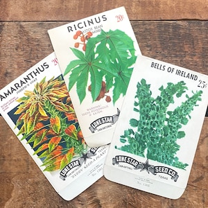 Paquetes de semillas de plantas vintage vacíos - Juego de 3 - Papel efímero, diario basura, suministros para manualidades, scrapbooking, paquetes de semillas vacíos, flores de jardín