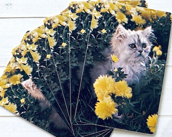 Vintage White Kitten and Yellow Flowers Playing Cards - Set of 6