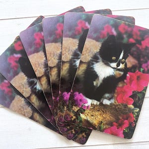 jeu de cartes chatons vintage - lot de 6 - jeux de cartes pour enfants, scrapbooking, papier éphémère, journal indésirable, fournitures créatives, oeuvre d'art modifiée, chats