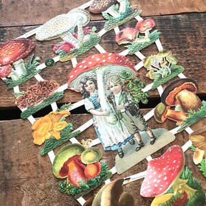 German Scraps - Die Cuts, Cut Outs, Reproduktion, Vintage Stil, Vintage Inspirationen, Papier Ephemera, Junk Journal, Pilze, Natur, Fungi