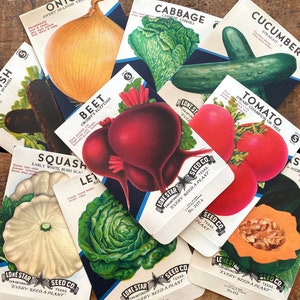Pacotes de sementes de vegetais vintage VAZIOS - Conjunto de 9 - Ephemera vintage, diário de lixo, suprimentos de artesanato, ephemera de jardim, pacotes de sementes VAZIOS, vegetais