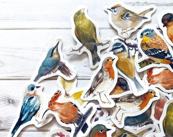 Bird Stickers - Set of 45 - Nature Stickers, Junk Journal Paper Ephemera, Planner Supplies, Craft Supplies, Nature Ephemera, Cute Bird Lot