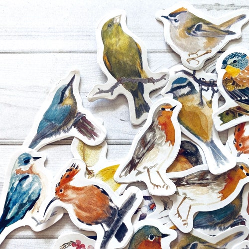 Bird Stickers Set of 4 - Etsy