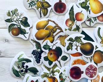 Fruit Stickers - Set of 46 - Nature Stickers, Junk Journal Paper Ephemera, Planner Supplies, Craft Supplies, Fruit Ephemera, Fruit Lot