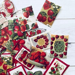 Strawberry Stickers - Set of 46 - Nature Stickers, Junk Journal Paper Ephemera, Planner Craft Supplies, Fruit Ephemera, Strawberries Lot