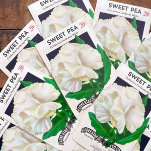 Vintage Flower Seed Packets EMPTY - Sweet Pea - Set of 4 - Vintage Ephemera, Junk Journal, Craft Supplies, Flower Ephemera, EMPTY Seed Packs