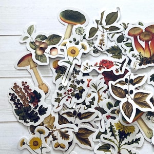 Natur Aufkleber - Set mit 46 Pflanzen Aufklebern, Junk Journal Papier Ephemera, Planerbedarf, Bastelbedarf, Natur Ephemera, Natur Lot