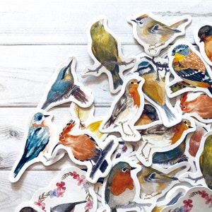 Pegatinas de pájaros - Juego de 45 - Pegatinas de naturaleza, Papel de diario, Artículos para planificadores, Artículos para manualidades, Lote de pájaros adorables