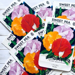 Vintage Flower Seed Packets EMPTY - Sweet Pea - Set of 4 - Vintage Ephemera, Junk Journal, Craft Supplies, Flower Ephemera, EMPTY Seed Packs