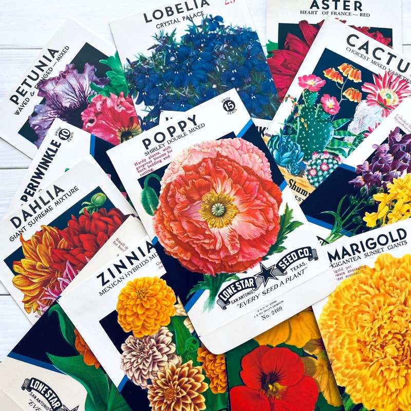 Vintage Seed Pack Labels - Etsy