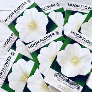 Vintage Flower Seed Packets EMPTY - Moonflower - Set of 4 - Vintage Ephemera, Junk Journal, Craft Supplies, Flower Ephemera, Seed Packs