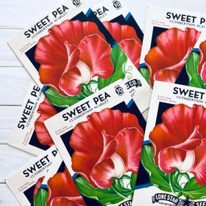 Vintage Flower Seed Packets EMPTY - Sweet Pea - Set of 4 - Vintage Ephemera, Junk Journal, Craft Supplies, Flower Ephemera, EMPTY Seed Packs