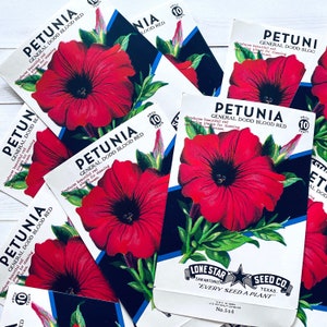 Vintage Flower Seed Packets EMPTY - Petunia - Set of 4 - Vintage Ephemera, Junk Journal, Craft Supplies, Flower Ephemera, EMPTY Seed Packs