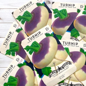 paquets de graines de légumes vintage vides - navet - lot de 4 - éphémères vintage, éphémères de journal indésirable, fournitures créatives, paquets de graines vides végétariennes