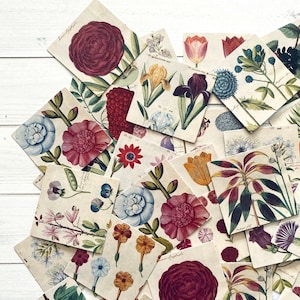 Natur Aufkleber - Set von 46 - Blumenetiketten, Junk-Journal Papier Ephemera, Planerbedarf, Bastelbedarf, Natur Ephemera, Blumen Aufkleber