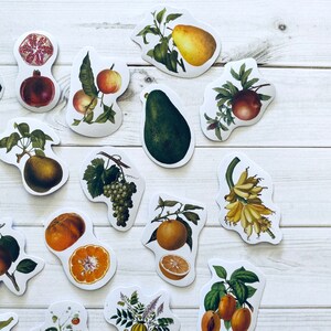 May include: A set of 12 colorful stickers featuring various fruits and vegetables. The stickers are printed on white paper and have a glossy finish. The stickers are perfect for adding a touch of whimsy to your planner, journal, or laptop.