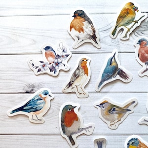 May include: A set of colorful bird stickers featuring various species, including robins, bluebirds, and a goldfinch. The stickers are perfect for adding a touch of nature to journals, planners, or any other craft project.