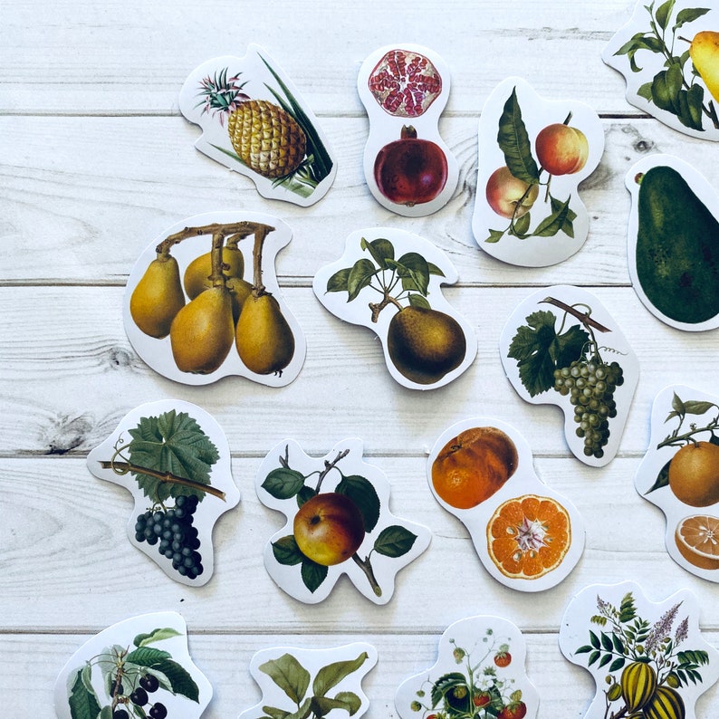 May include: A collection of colorful fruit and vegetable illustrations, including pears, grapes, lemons, apples, and pomegranates. The illustrations are on white paper with a woodgrain background.