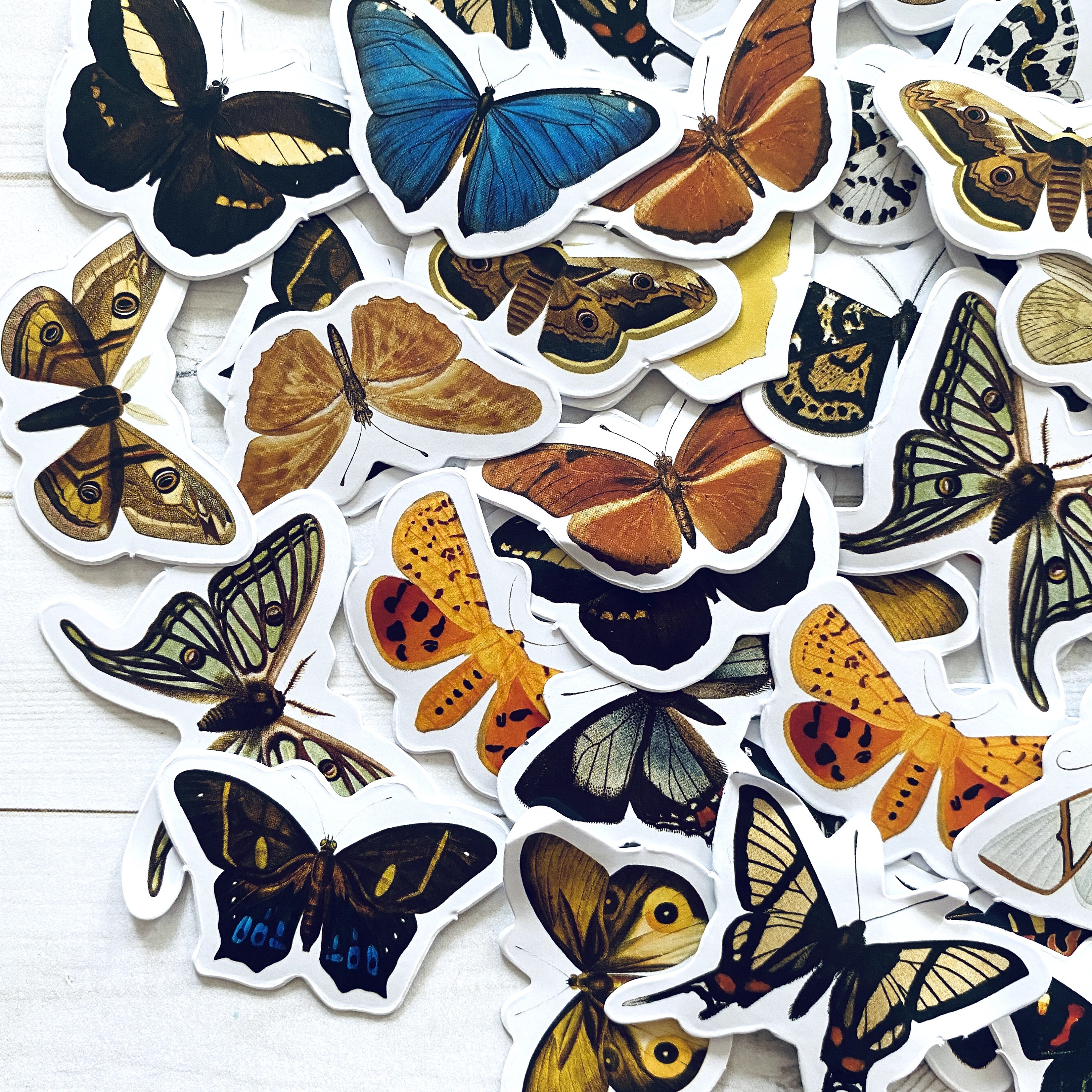 Buttrfly Sticker Butterfly Stickers - Set of 46 - Junk Journal Ephemera Supply - Etsy