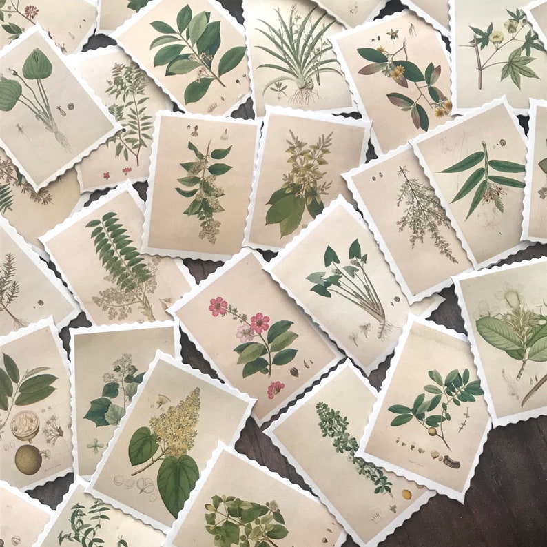 plant stickers set of 45 nature stickers junk journal etsy