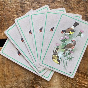 Juego de 6 naipes vintage de pájaros - Tarjetas de naturaleza Audubon, tarjetas de intercambio antiguas, papel de scrapbooking, diario basura, materiales para manualidades