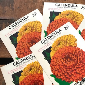 May include: Three vintage seed packets for Calendula Pacific Beauty Mixed. Each packet features a close-up image of orange and yellow flowers with the text "CALENDULA PACIFIC BEAUTY MIXED" and "In mild climates plant in fall for early spring blooms."  The price is 25 pence.