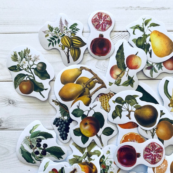 Fruit Stickers - Set of 46 - Junk Journal Ephemera Supply