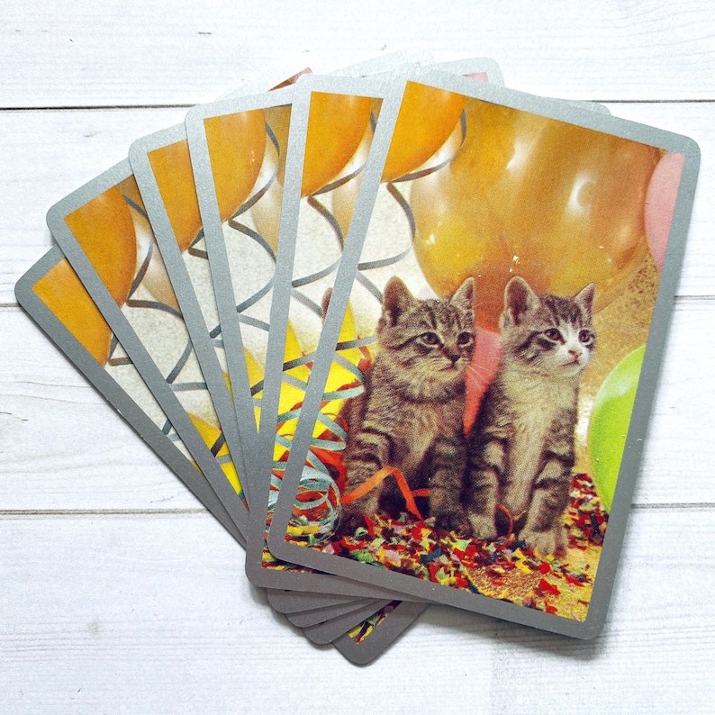 May include: A set of six greeting cards featuring two kittens with colorful balloons and confetti. The cards are silver with a gray border.