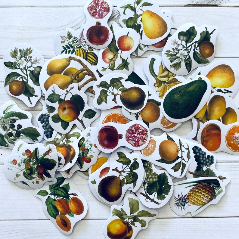May include: A collection of colorful fruit stickers with various designs, including pomegranates, avocados, pineapples, and lemons. The stickers are perfect for adding a touch of whimsy to journals, planners, or laptops.
