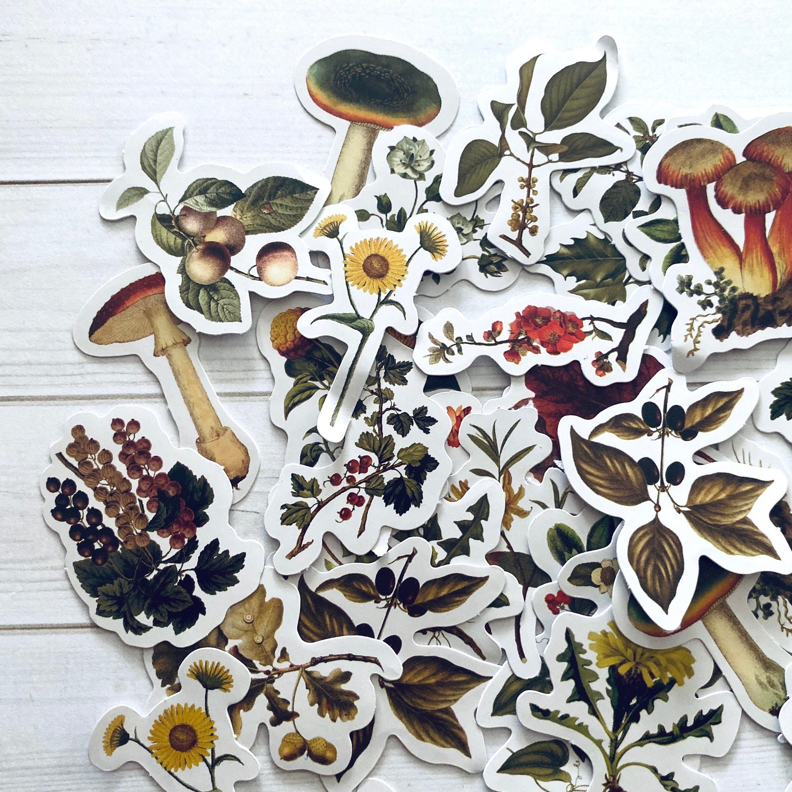 Nature Stickers Set of 46 Plant Stickers Junk Journal Etsy España